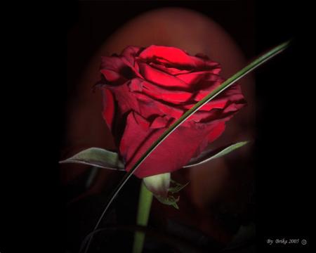 fleur