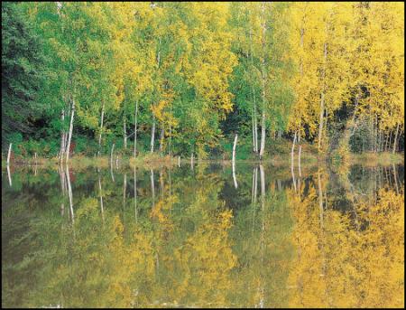 la nature