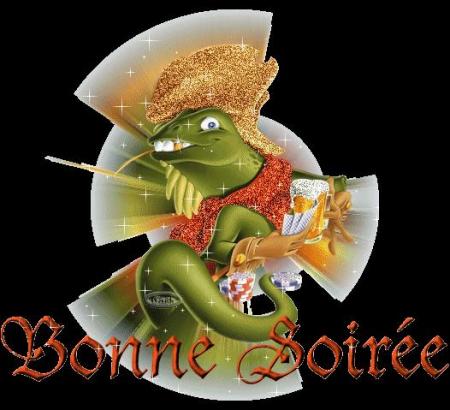 BONNE SOIREE