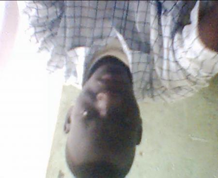le doll