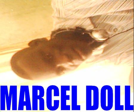 le seul doll