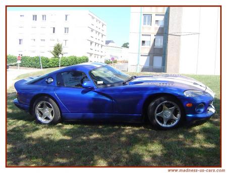 viper