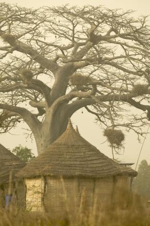 la casamance en pauvreté