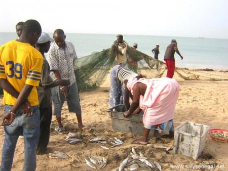 regarder les poissons qui montre le signe de sous-developpement